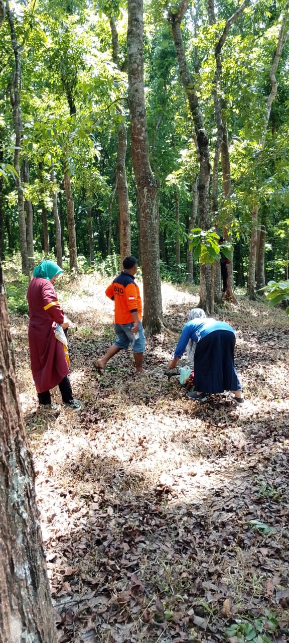 Gambar Berita